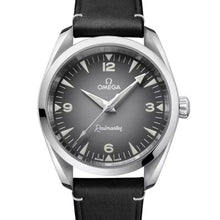 Load image into Gallery viewer, Seamaster Railmaster (235.12.38.20.06.001)
