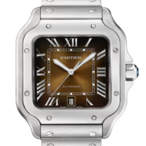 Santos de Cartier watch - Large (WSSA0064)